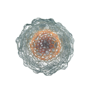 Cell Image Vinyl Car Decal Sticker – Waterproof & UV-Resistant 3.4133333333333336"