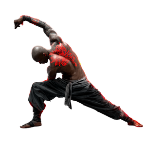 Dynamic Fighter Vinyl Car Decal Sticker – Waterproof & UV-Resistant 3.4133333333333336"