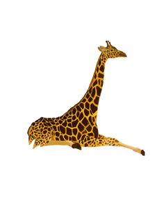 Giraffe In Pool Vinyl Car Decal Sticker – Waterproof & UV-Resistant 8.213333333333333" Giraffe In Pool Vinyl Car Decal Sticker – Waterproof & UV-Resistant 8.213333333333333"