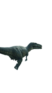 Prehistoric Dinosaur Walk Vinyl Car Decal Sticker – Waterproof & UV-Resistant 9.706666666666667"