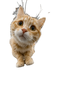 Cheese Cat Selfie Vinyl Car Decal Sticker – Waterproof & UV-Resistant 8.96"