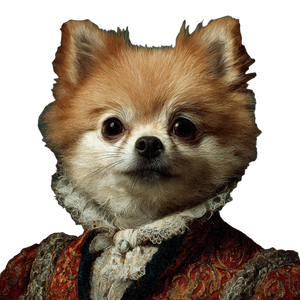 Pomeranian V2 Vinyl Car Decal Sticker – Waterproof & UV-Resistant 6.826666666666667" Pomeranian V2 Vinyl Car Decal Sticker – Waterproof & UV-Resistant 6.826666666666667"