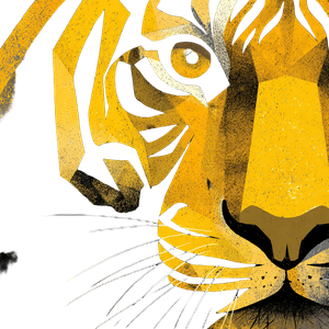 Graphic Tiger Vinyl Car Decal Sticker – Waterproof & UV-Resistant 6.826666666666667"
