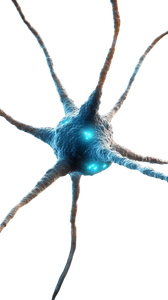 Neurons Connecting Vinyl Car Decal Sticker – Waterproof & UV-Resistant 9.706666666666667"