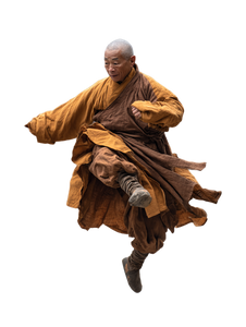 Dynamic Shaolin Monk V2 Vinyl Car Decal Sticker – Waterproof & UV-Resistant 4.1066666666666665"