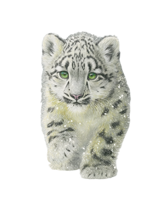 Snow Leopard Cub V7 Vinyl Car Decal Sticker – Waterproof & UV-Resistant 4.1066666666666665"