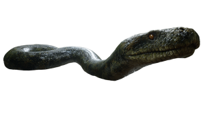 Titanoboa Slithering Vinyl Car Decal Sticker – Waterproof & UV-Resistant 5.4