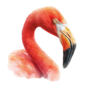 Watercolor Flamingo Vinyl Car Decal Sticker – Waterproof & UV-Resistant 3.4133333333333336" Watercolor Flamingo Vinyl Car Decal Sticker – Waterproof & UV-Resistant 3.4133333333333336"