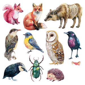 Whimsical Forest Animals Vinyl Car Decal Sticker – Waterproof & UV-Resistant 6.826666666666667" Whimsical Forest Animals Vinyl Car Decal Sticker – Waterproof & UV-Resistant 6.826666666666667"