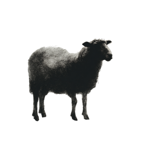 Abstract Sheep Silhouette V2 Vinyl Car Decal Sticker – Waterproof & UV-Resistant 3.4133333333333336" Abstract Sheep Silhouette V2 Vinyl Car Decal Sticker – Waterproof & UV-Resistant 3.4133333333333336"