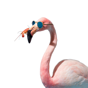 Pink Flamingo With Prawn Vinyl Car Decal Sticker – Waterproof & UV-Resistant 6.826666666666667"