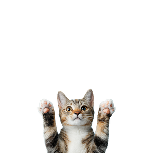 Simple Realistic Cat Vinyl Car Decal Sticker – Waterproof & UV-Resistant 3.4133333333333336"