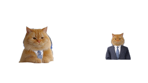 Fat Cat Newsreader Vinyl Car Decal Sticker – Waterproof & UV-Resistant 2.72"