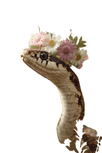 Snake With Flower Crown Vinyl Car Decal Sticker – Waterproof & UV-Resistant 4.4