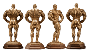 Gold Trophy Bodybuilding Vinyl Car Decal Sticker – Waterproof & UV-Resistant 5.4