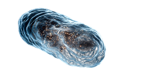 Glowing Mitochondria Render V3 Vinyl Car Decal Sticker – Waterproof & UV-Resistant 5.12" Glowing Mitochondria Render V3 Vinyl Car Decal Sticker – Waterproof & UV-Resistant 5.12"