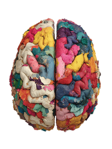 Rainbow Brain Vinyl Car Decal Sticker – Waterproof & UV-Resistant 8.213333333333333"
