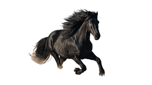 Galloping Black Stallion Vinyl Car Decal Sticker – Waterproof & UV-Resistant 2.72"