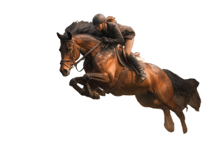 Equestrian Leap Vinyl Car Decal Sticker – Waterproof & UV-Resistant 2.986666666666667"