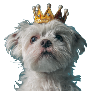 Crowned Cute Dog Vinyl Car Decal Sticker – Waterproof & UV-Resistant 3.4133333333333336" Crowned Cute Dog Vinyl Car Decal Sticker – Waterproof & UV-Resistant 3.4133333333333336"