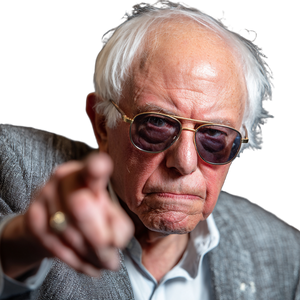 Bernie Sanders Accusing Vinyl Car Decal Sticker – Waterproof & UV-Resistant 3.4133333333333336"