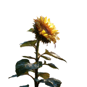 Sunflower V12 Vinyl Car Decal Sticker – Waterproof & UV-Resistant 6.826666666666667"