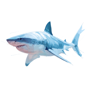 Illustration Shark Vinyl Car Decal Sticker – Waterproof & UV-Resistant 3.4133333333333336" Illustration Shark Vinyl Car Decal Sticker – Waterproof & UV-Resistant 3.4133333333333336"