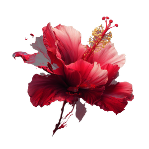 Sovereign Hibiscus Vinyl Car Decal Sticker – Waterproof & UV-Resistant 6.826666666666667"