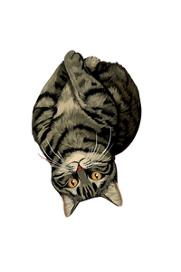 Hanged Cat Tarot Vinyl Car Decal Sticker – Waterproof & UV-Resistant 8.96"