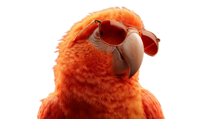 Funny Sunglasses Parrot Vinyl Car Decal Sticker – Waterproof & UV-Resistant 2.72"