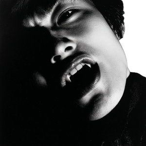 Vampire Portrait V21 Vinyl Car Decal Sticker – Waterproof & UV-Resistant 6.826666666666667"