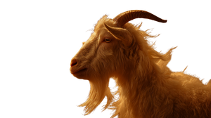 White Billy Goat Vinyl Car Decal Sticker – Waterproof & UV-Resistant 5.4 White Billy Goat Vinyl Car Decal Sticker – Waterproof & UV-Resistant 5.4