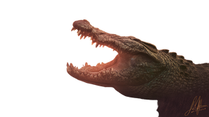 Mythical Sun Crocodile Vinyl Car Decal Sticker – Waterproof & UV-Resistant 5.4
