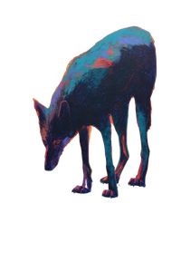 Abstract Shadow Wolf Vinyl Car Decal Sticker – Waterproof & UV-Resistant 8.96"