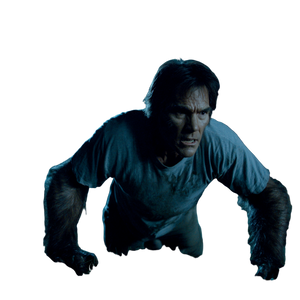 Werewolf Transformation V18 Vinyl Car Decal Sticker – Waterproof & UV-Resistant 3.4133333333333336"