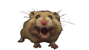 Nightmare Hamster Vinyl Car Decal Sticker – Waterproof & UV-Resistant 2.72"