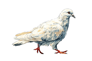 Walking Dove Vinyl Car Decal Sticker – Waterproof & UV-Resistant 2.986666666666667"