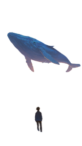 Skyward Whale Gaze V2 Vinyl Car Decal Sticker – Waterproof & UV-Resistant 4.8533333333333335"