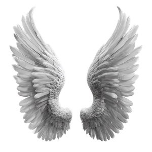 Angel Wings Design V2 Vinyl Car Decal Sticker – Waterproof & UV-Resistant 3.4133333333333336"