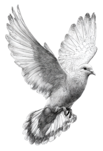 Flying Dove Tattoo Vinyl Car Decal Sticker – Waterproof & UV-Resistant 4.373333333333333"