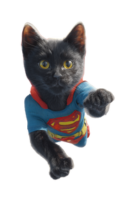 Superhero Kitten V4 Vinyl Car Decal Sticker – Waterproof & UV-Resistant 4.8533333333333335"