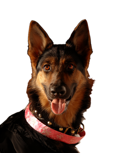 Happy German Shepherd V8 Vinyl Car Decal Sticker – Waterproof & UV-Resistant 8.213333333333333"