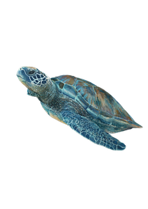Wise Turtle Journey Vinyl Car Decal Sticker – Waterproof & UV-Resistant 4.373333333333333"