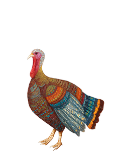 Majestic Thanksgiving Turkey Vinyl Car Decal Sticker – Waterproof & UV-Resistant 4.16"