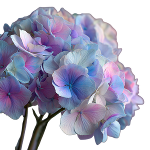 Pastel Hydrangeas Bouquet Vinyl Car Decal Sticker – Waterproof & UV-Resistant 3.4133333333333336"