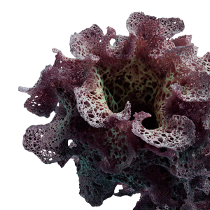 Flower V32 Vinyl Car Decal Sticker – Waterproof & UV-Resistant 6.826666666666667"