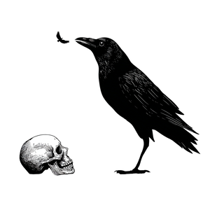 Crow Flicking Skull Vinyl Car Decal Sticker – Waterproof & UV-Resistant 3.4133333333333336"