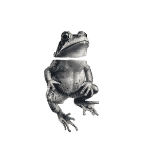 Hanging Frog Vinyl Car Decal Sticker – Waterproof & UV-Resistant 3.4133333333333336"