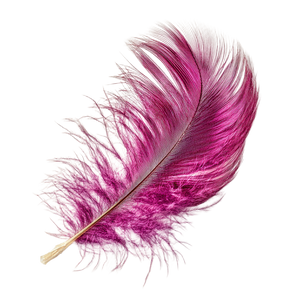 Magenta Feather Vinyl Car Decal Sticker – Waterproof & UV-Resistant 3.4133333333333336"