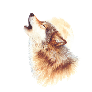 Howling Wolf Painting Vinyl Car Decal Sticker – Waterproof & UV-Resistant 6.826666666666667"